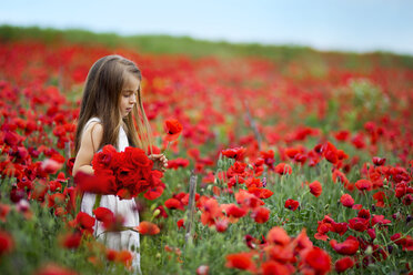 Girl holding bunch of red poppy flowers in field - CAVF17809