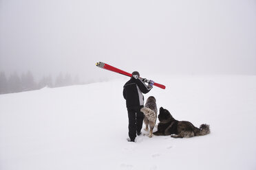 Rear view of man carrying ski while walking with dogs on snowy landscape - CAVF17907