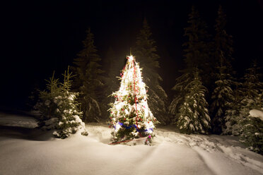 Beleuchteter Weihnachtsbaum auf verschneiter Landschaft - CAVF17909