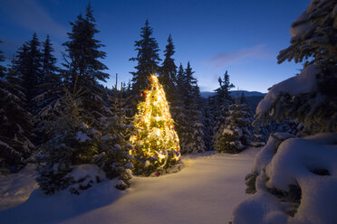 Beleuchteter Weihnachtsbaum auf verschneiter Landschaft gegen Himmel - CAVF17910