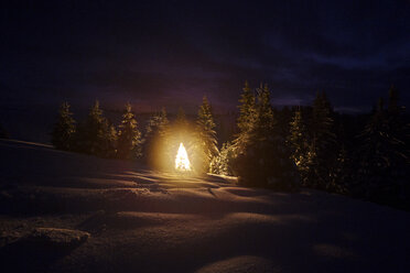 Beleuchteter Weihnachtsbaum auf verschneiter Landschaft gegen den nächtlichen Himmel - CAVF17912