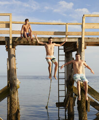 Excited brothers diving into sea from pier - CAVF17965