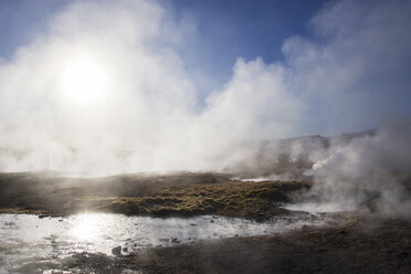 Dampf, der an einem sonnigen Tag aus einem Geysir austritt - CAVF17994