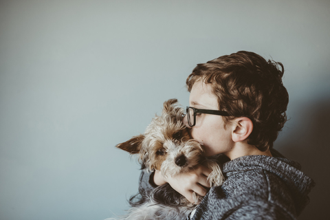 Seitenansicht eines Jungen, der einen Yorkshire Terrier zu Hause an die Wand küsst, lizenzfreies Stockfoto