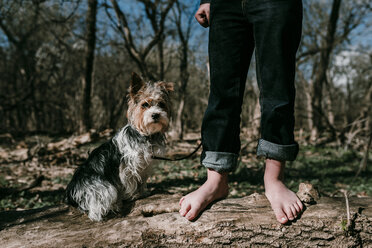 Tiefschnitt von Junge mit Hund auf umgestürztem Baum im Wald stehend - CAVF18034