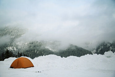 Zelt auf verschneiter Landschaft bei nebligem Wetter - CAVF18047