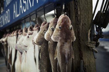 Fish hanging at market stall - CAVF18064