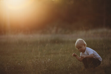 Boy holding grass while crouching on field - CAVF18117