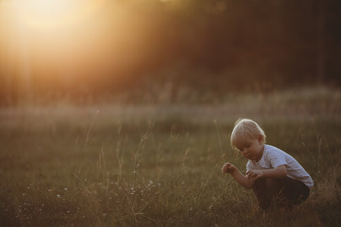 Junge hält Gras, während er auf einem Feld hockt - CAVF18117
