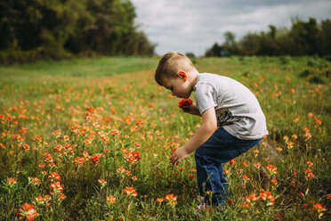 Side view of boy plucking flowers while standing on field - CAVF18130