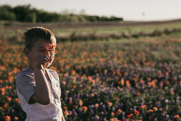 Junge hält Blume vor das Gesicht, während er auf einem Feld steht - CAVF18153