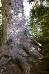 Teenager leaning on huge tree at forest - CAVF18214