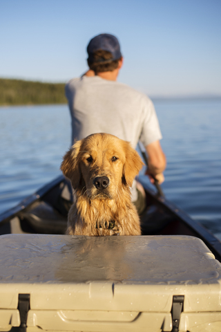Porträt eines Hundes mit einem Mann, der in einem Boot auf einem See im Grand Teton National Park unterwegs ist, lizenzfreies Stockfoto