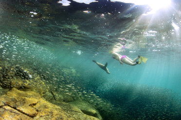 Woman swimming by fishes under water - CAVF18645