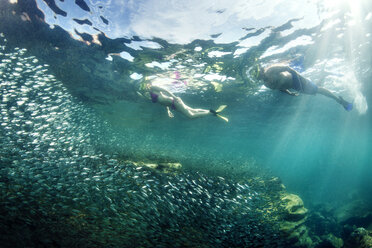 Paar beim Schnorcheln mit Fischen im Meer - CAVF18647