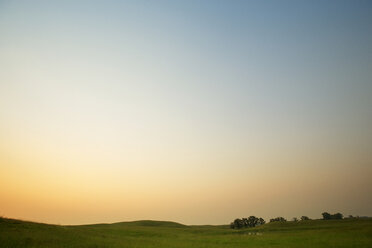 Landschaftliche Ansicht eines grasbewachsenen Feldes gegen den klaren Himmel bei Sonnenuntergang - CAVF18674