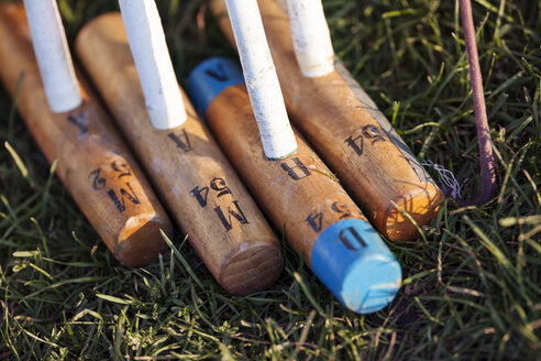 Close-up of wooden polo mallets on grassy field - CAVF18742