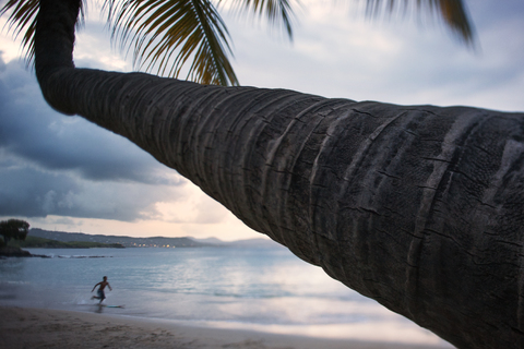 Low angle view of palm tree on beach against cloudy sky stock photo