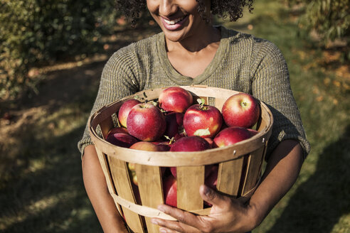 Midsection of woman carrying apples in basket on field - CAVF18935