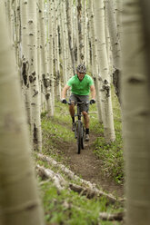 Männlicher Radfahrer, der im Wald radelt - CAVF19273