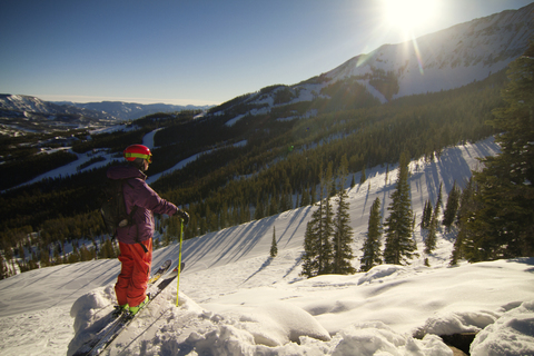 Side view of skier standing on snow field stock photo