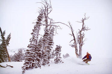 Mann beim Snowboarden auf Schneefeld bei Bäumen - CAVF19395