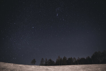Idyllic view of starry sky at night - CAVF19458
