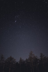 Low angle view of starry sky at night - CAVF19459