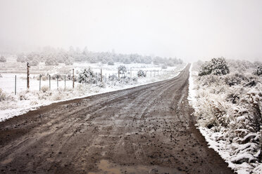 Wet dirt road amidst snow covered field during foggy weather - CAVF19730