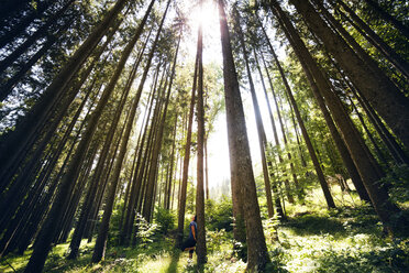 Hiker relaxing amidst trees in forest - CAVF19909