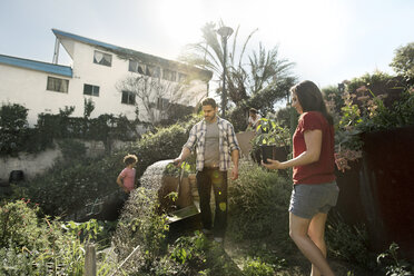 Man watering plants while working with friends in community garden - CAVF19948