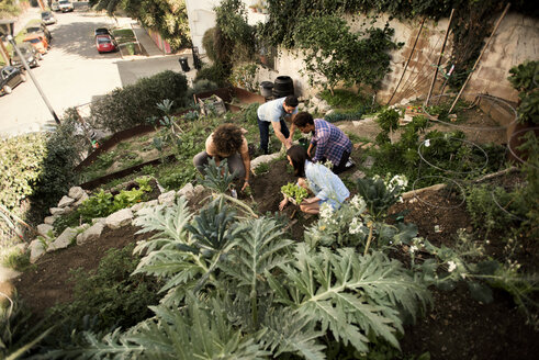 High angle view of friends gardening at community garden - CAVF19951