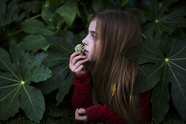 Mädchen hält Blume und liegt inmitten von Pflanzen auf einem Feld - CAVF20039