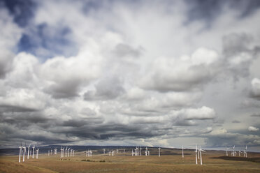 Windmühlen auf einem Feld vor bewölktem Himmel - CAVF20142