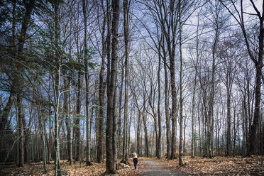 Blick aus mittlerer Entfernung auf ein Mädchen, das im Herbst im Wald auf einem Fußweg steht - CAVF20180