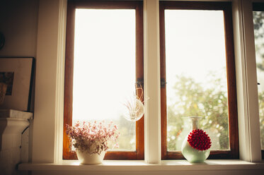 Potted plants on window sill at home - CAVF20384