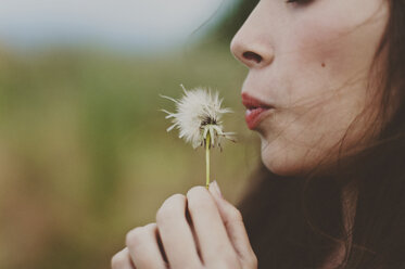 Cropped image of girl blowing dandelion on field - CAVF20458