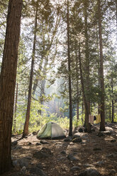 Zelt auf einem Campingplatz im Wald - CAVF20532