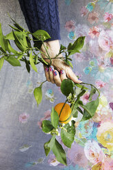 Cropped image of hand holding orange branches against designed wall - CAVF20565