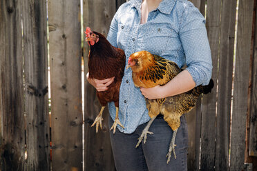 Mittelteil einer Frau, die Hühner gegen einen Holzzaun hält - CAVF20646