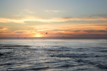 Silhouette birds flying over sea against sky during sunset - CAVF20741