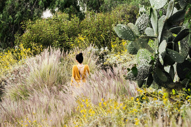 Rear view of woman on field - CAVF20748