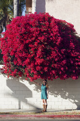 Woman standing under bougainvillea tree - CAVF20770