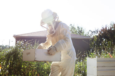 Arbeiterinnen tragen Bienenstöcke auf einem Bauernhof an einem sonnigen Tag - CAVF20820