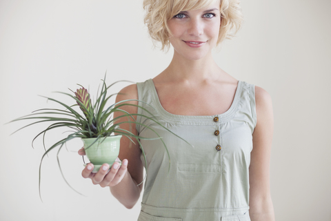 Porträt einer schönen Frau, die eine Topfpflanze an der Wand hält, lizenzfreies Stockfoto