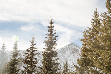 Scenic view of trees against snowcapped mountain - CAVF20967