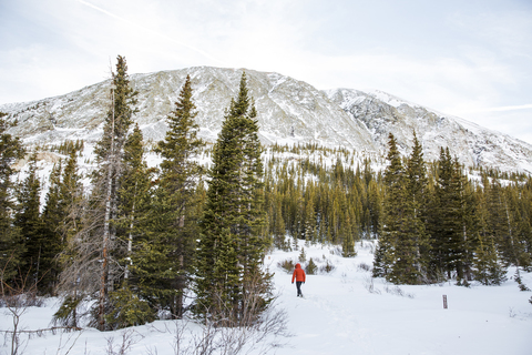 Rear view of woman walking on snow covered field against sky stock photo