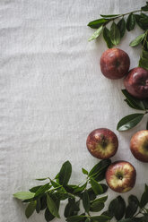 Hohe Winkelansicht von Äpfeln mit Blättern auf dem Tisch - CAVF21028