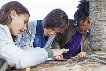 Students examining plant during field trip - CAVF21081