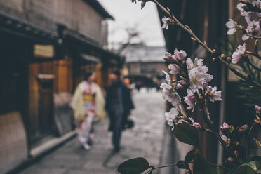 Nahaufnahme von Blumen mit Menschen, die in einer Gasse im Hintergrund spazieren gehen - CAVF21180